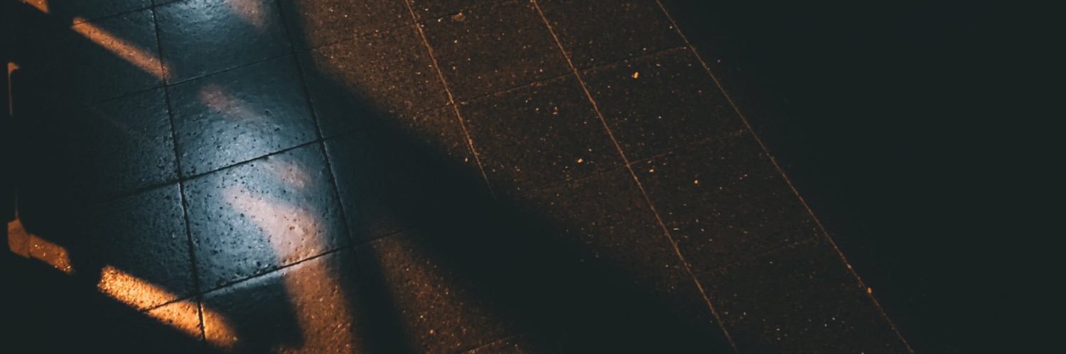 nesiiner's profile banner image