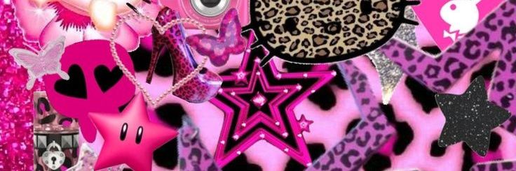 authenticzara's profile banner image