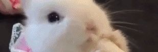 babycookieaa's profile banner image
