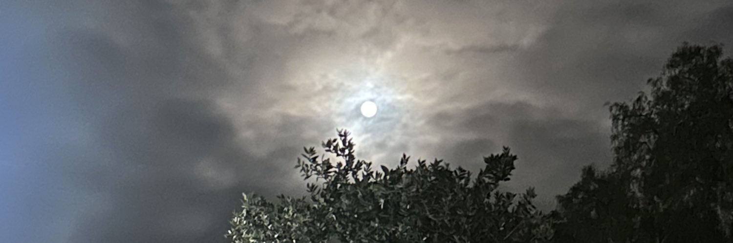 ⋆. 𐙚˚࿔ kei 𝜗𝜚˚⋆ banner