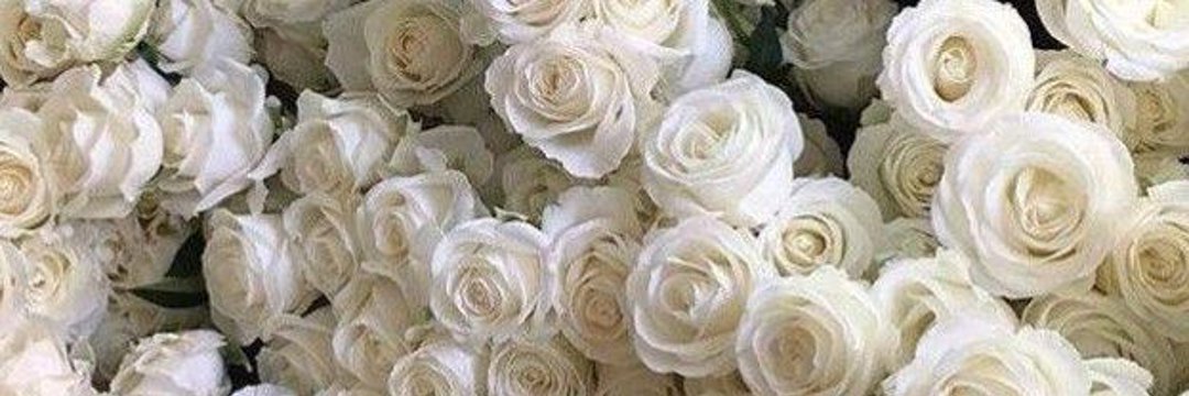 𝙙𝙚𝙖𝙧𝙚𝙨𝙩 banner