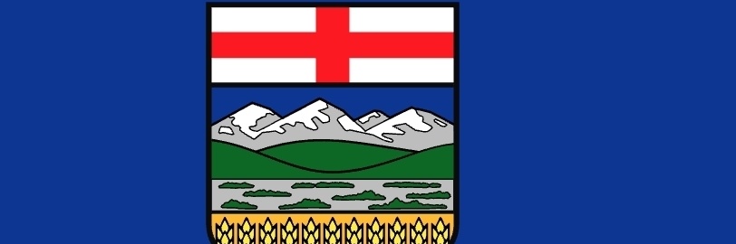 David mccoy banner