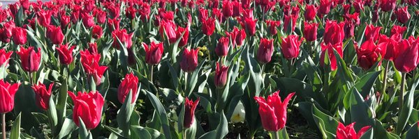 SusanatJPL Profile Banner