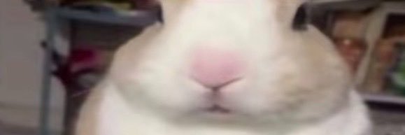 eesliie's profile banner image