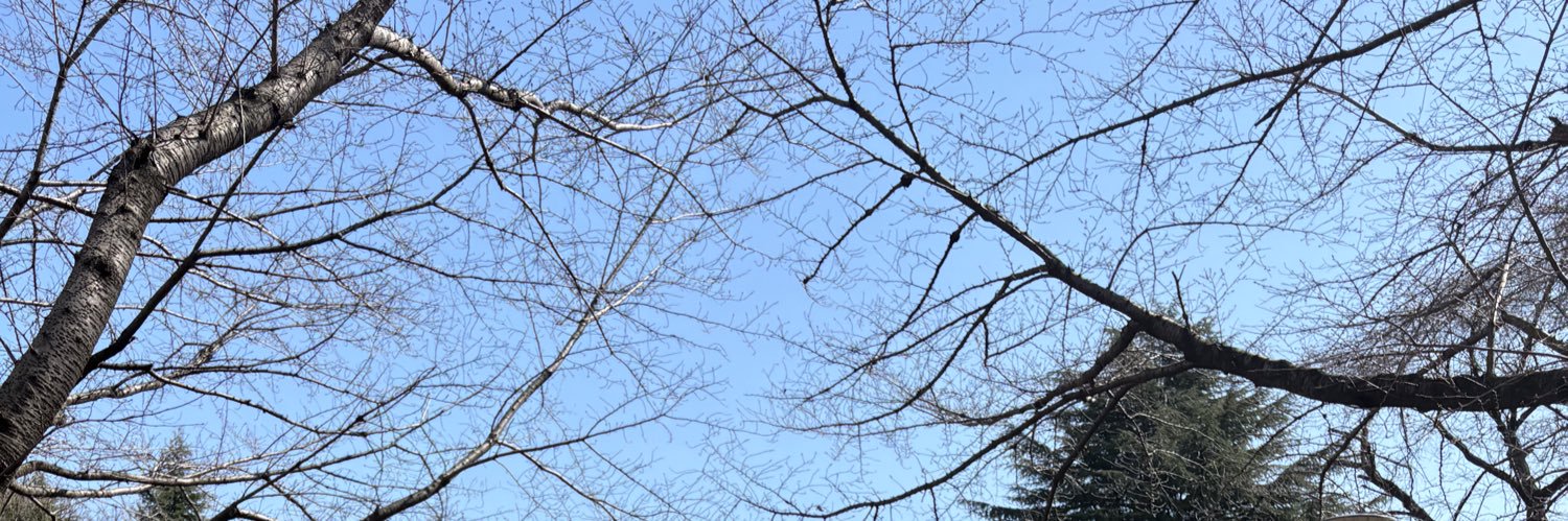 あか banner