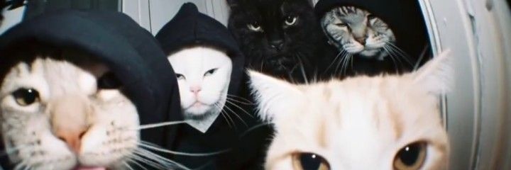 고양이궁딩이전도사 banner