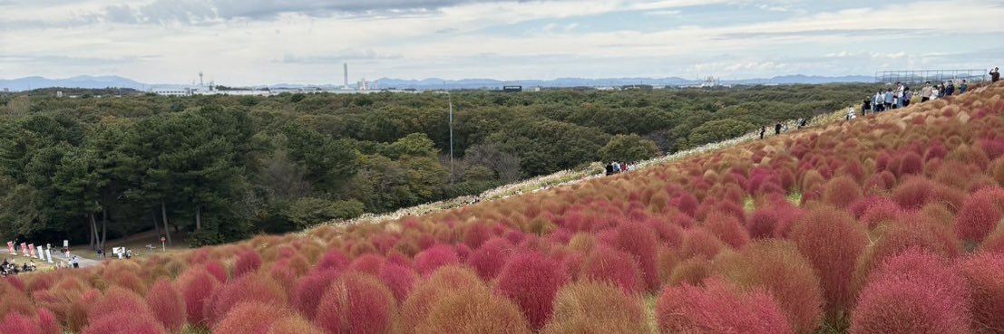 はやて　@SES営業 banner