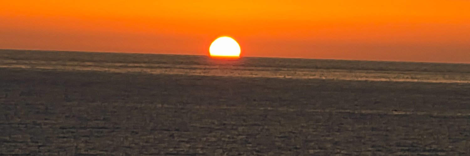 MissDemon34's profile banner image
