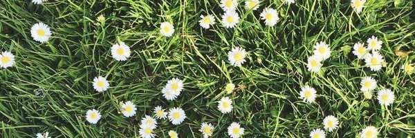 sunseanie Profile Banner