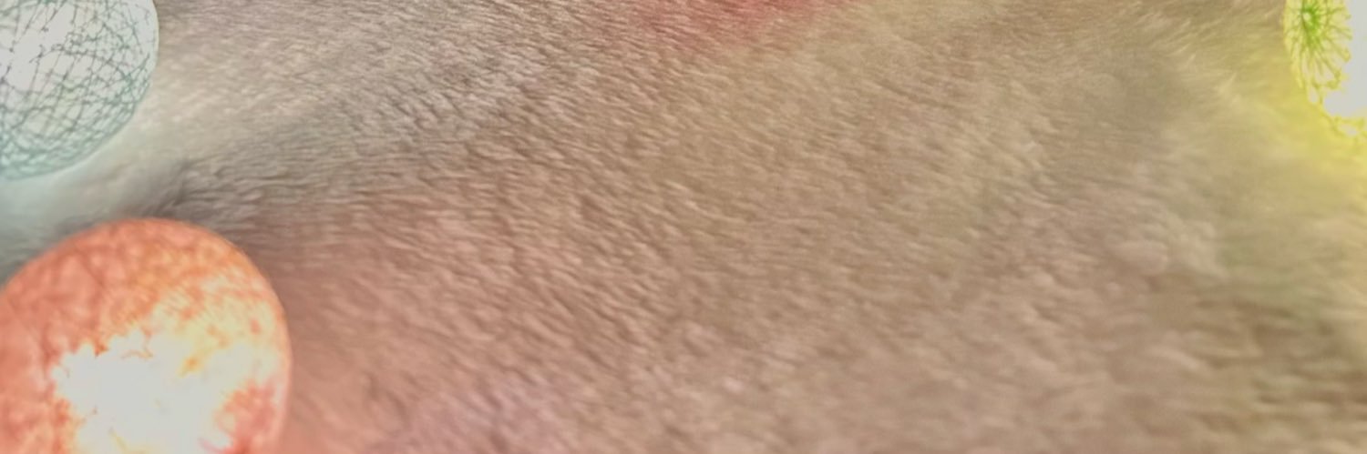 slow 솜무트 banner