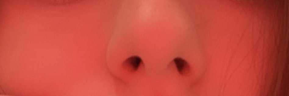 HarmonyHum7024's profile banner image