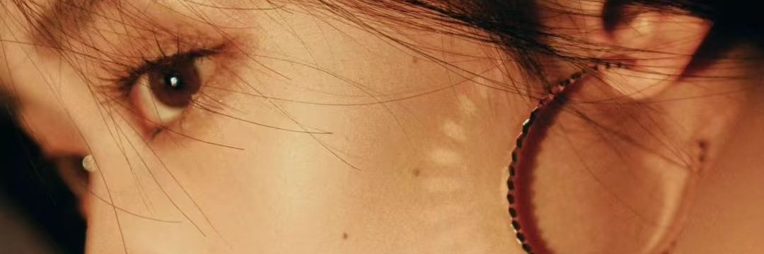 Wang Yinglu Style banner