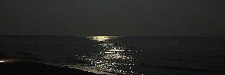 kiarlu🍒 banner