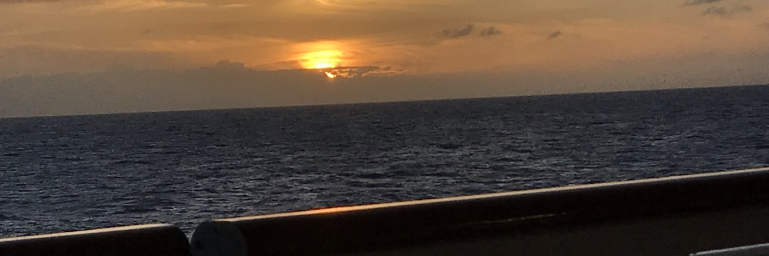 Irene May-Hillmann banner