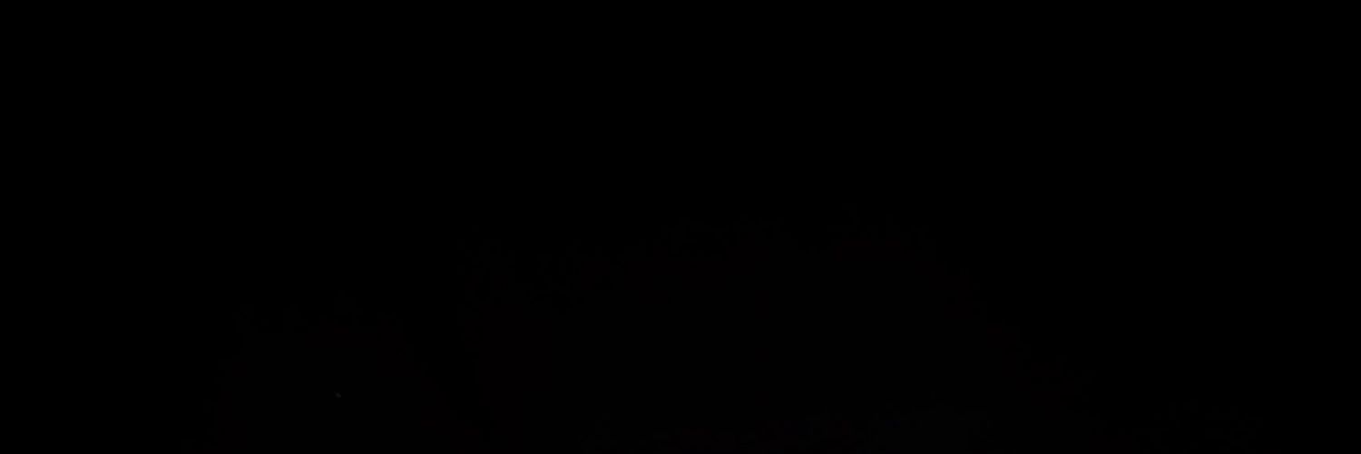 Vertic banner