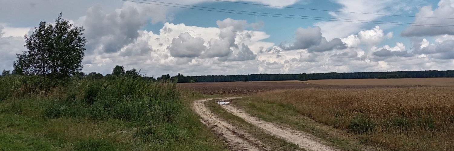 noCox12's profile banner image