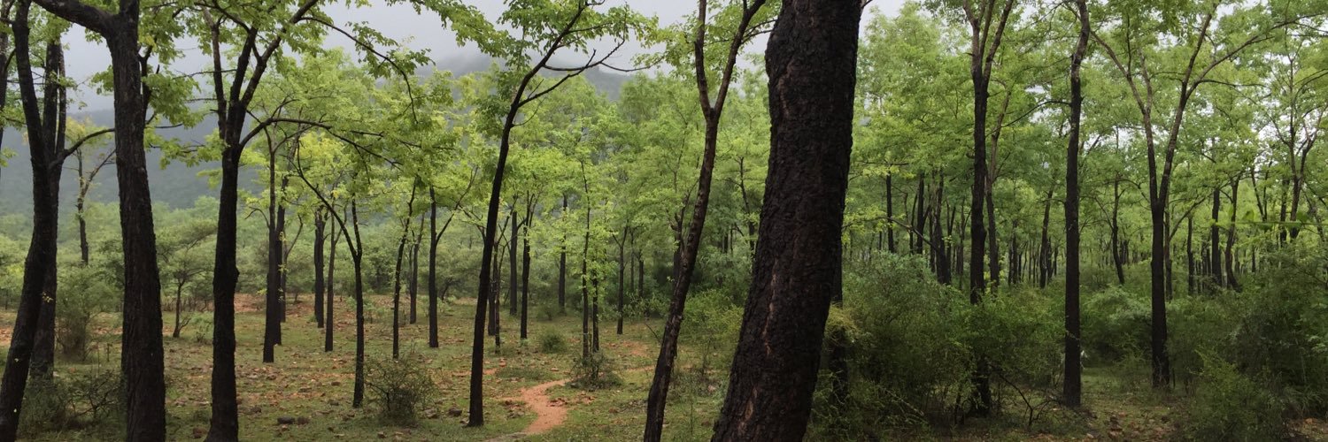 Jaijeeps's profile banner image