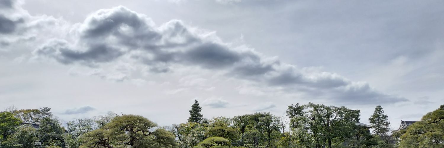 luvsobercurious's profile banner image