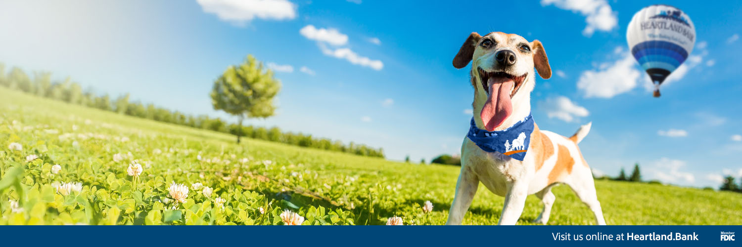 heartlandbank's profile banner image