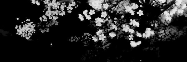 ' banner