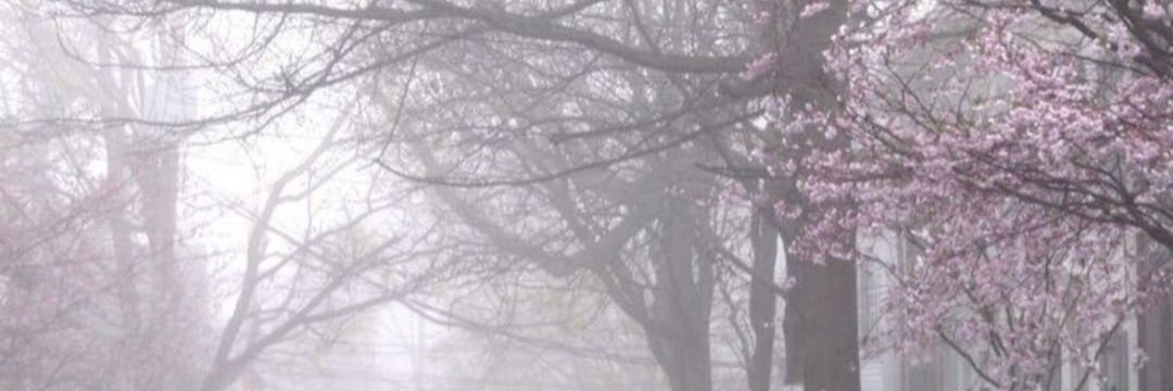 pixxiecel (Анна ♱) banner