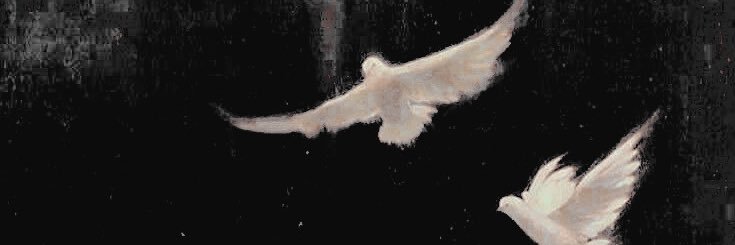 ‍‍ ‍‍𝓳𝐨𝐬𝐢𝐚𝐡 . banner