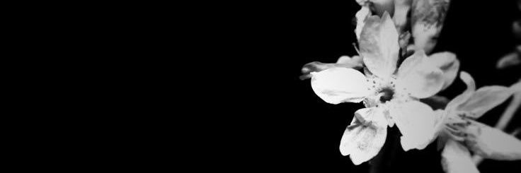 _pervertbitchv's profile banner image