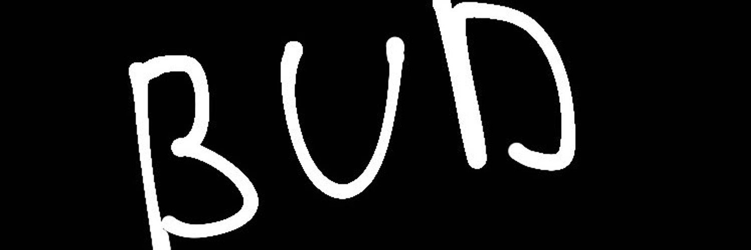 Le_buud's profile banner image