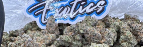 atl_weedplug Profile Banner