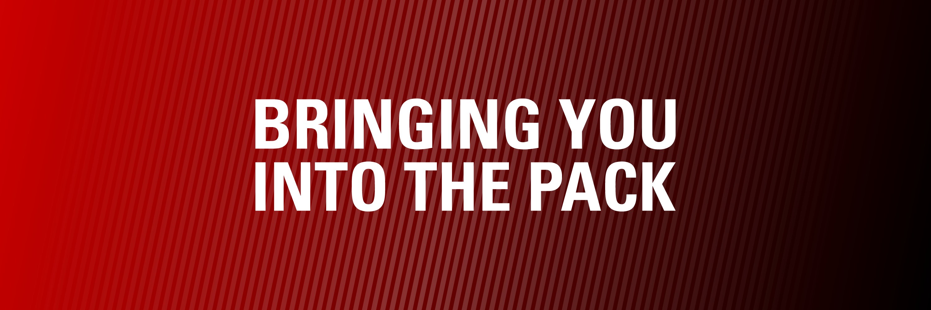 intothepack's profile banner image