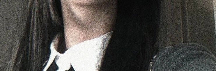 Theodore Fitzpatrick banner
