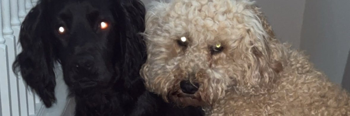 xkatesworld's profile banner image