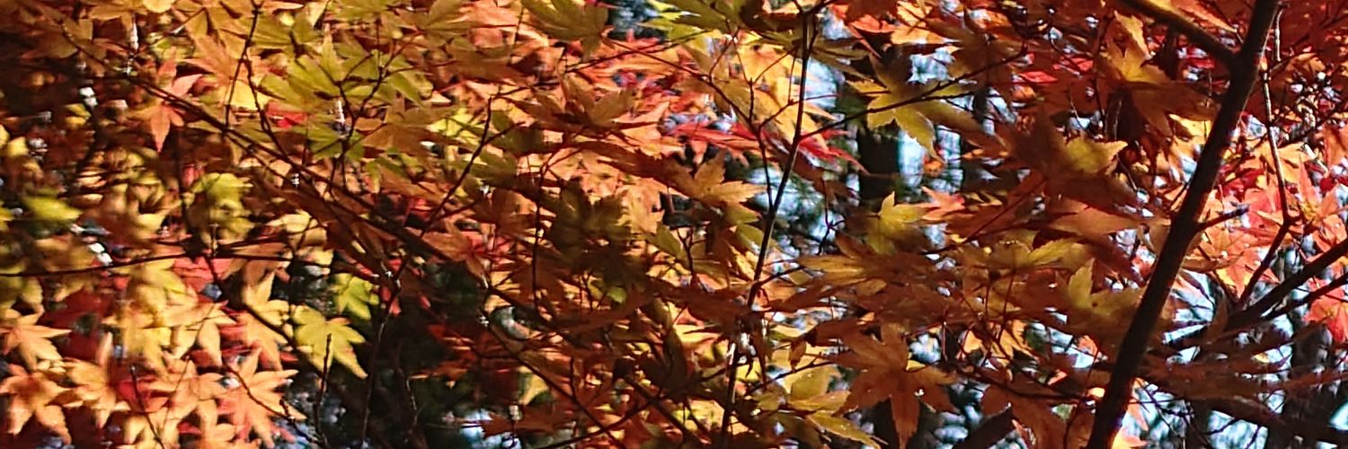 kanoko1010's profile banner image