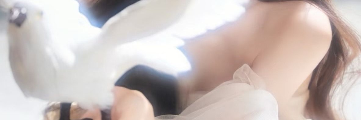 Alex Bunch banner