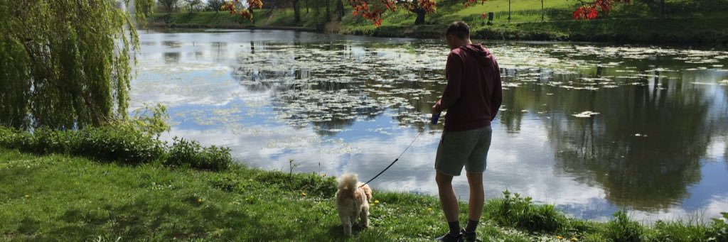 Hayley Nelson banner