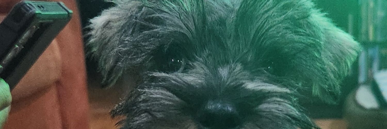 moni_Va's profile banner image