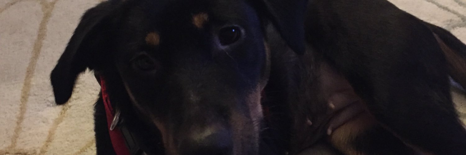 Ronald Eckert banner