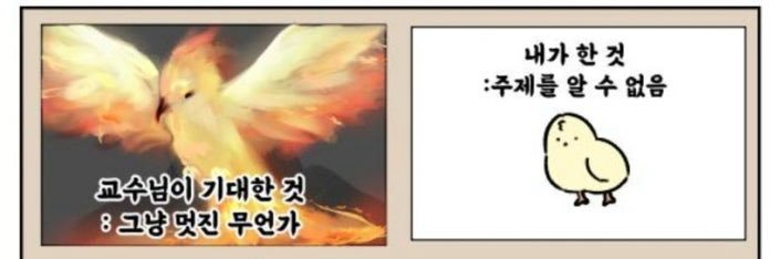 빵 banner