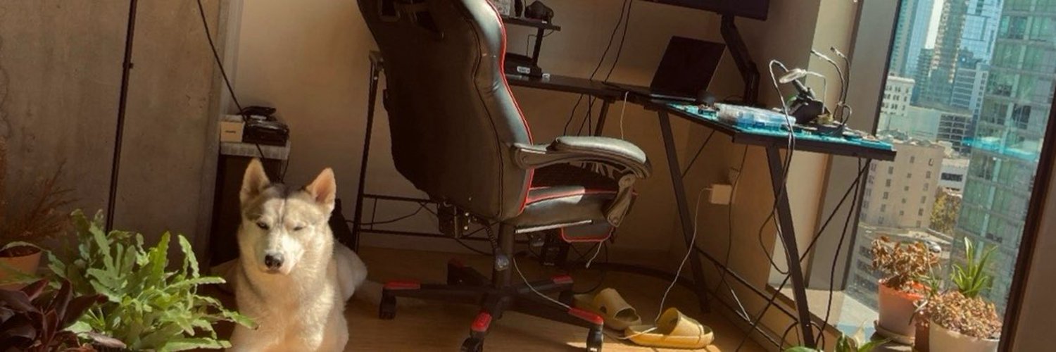 Majed North 🇨🇦 banner