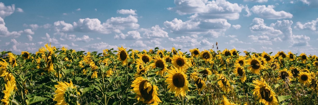 x.com settings profile banner