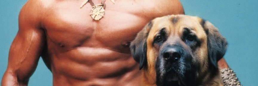 Sivaslı alevi arnold banner