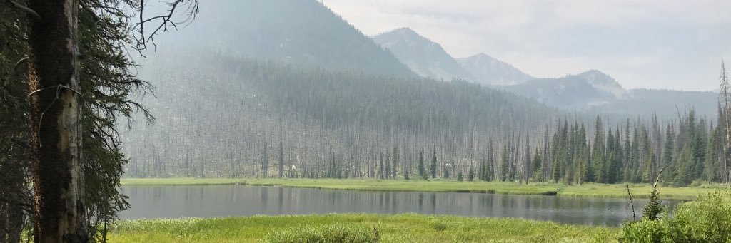 jackzensen's profile banner image