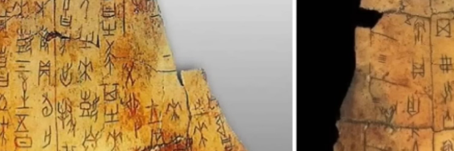 optimum0524's profile banner image