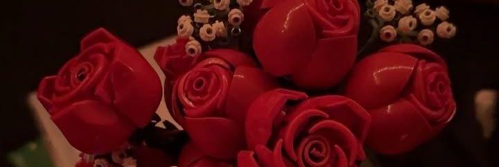 6 banner