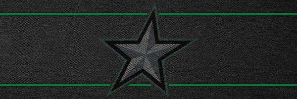 TexasStars Profile Banner