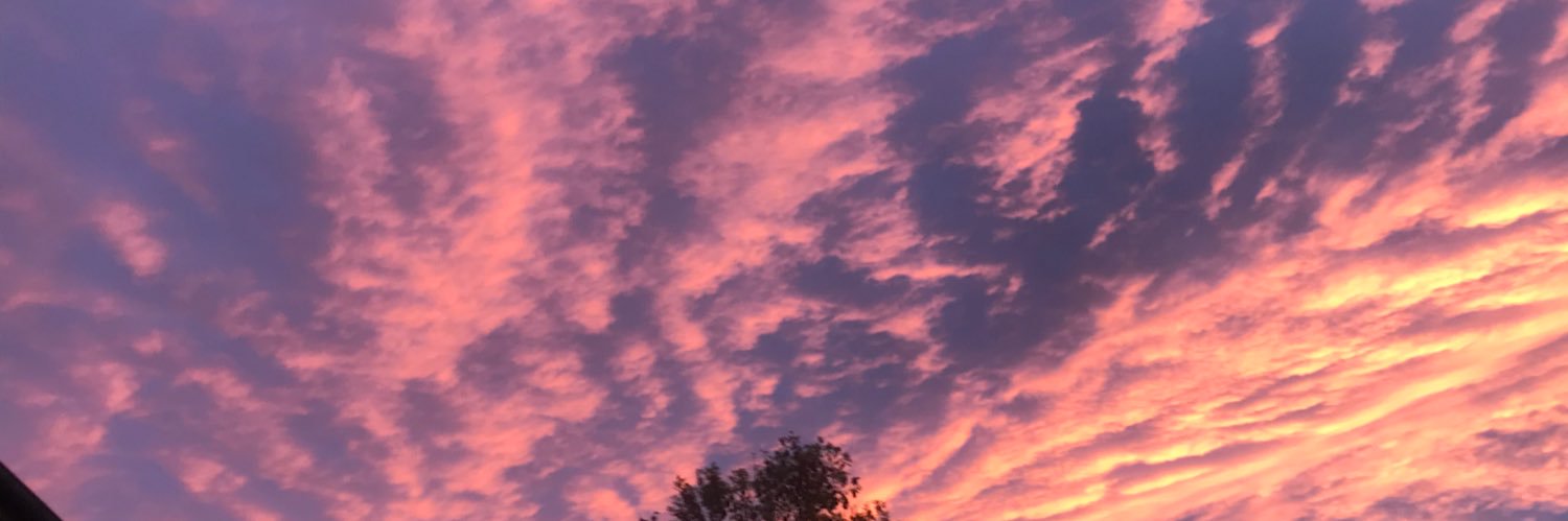 maryl51300's profile banner image