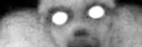 Evil8ed_Faces banner