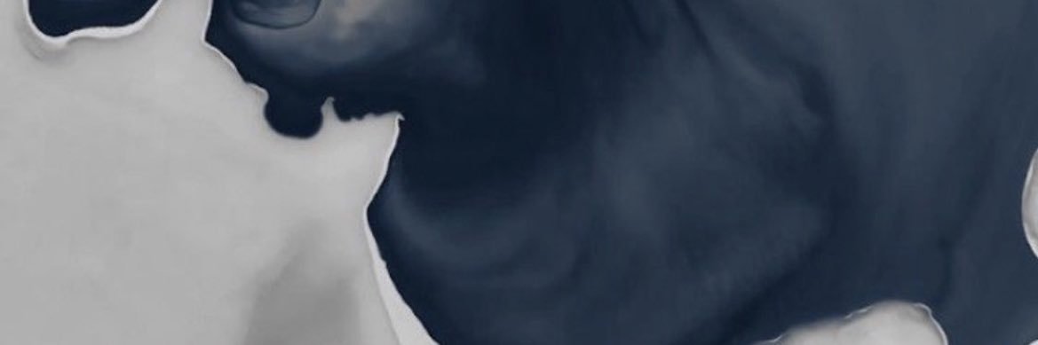 ShutterbugSuuz's profile banner image