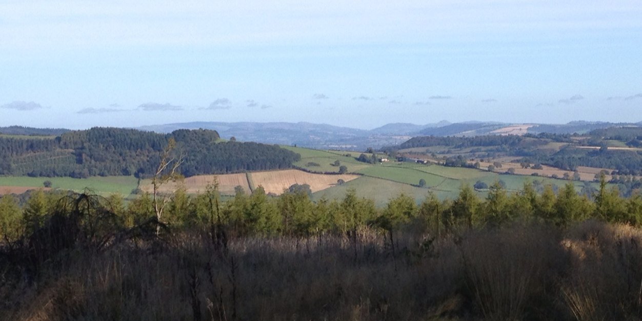 Dr. Jon Argent banner