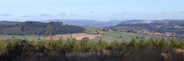 ArgentJon Profile Banner